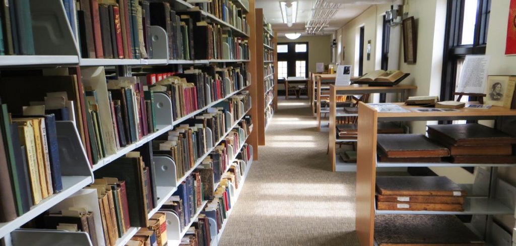 Image of the MKI Library, showing bookshelves and books