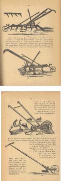 Illustrations from Amerikanisches Gartenbuch für Stadt und Land...