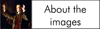 About the images 