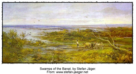 Swamps of the Banat, by Stefan Jaeger