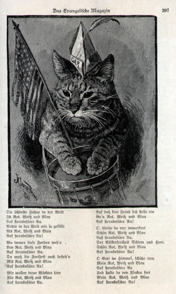 A cat wearing a pointed hat
