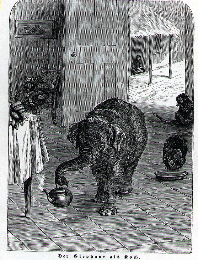 An elephant carries a steaming teapost in its trunk.