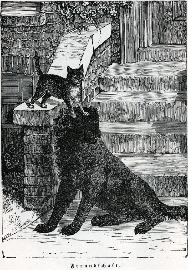 A cat stands on the head of a dog in this illustration titled "Freundschaft" (friendship)