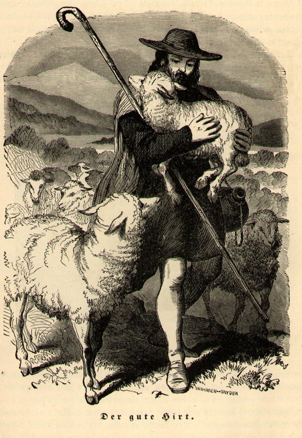 A shepherd carries a lamb.