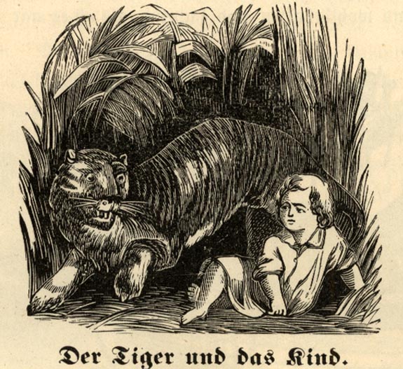 The Tiger and the Child