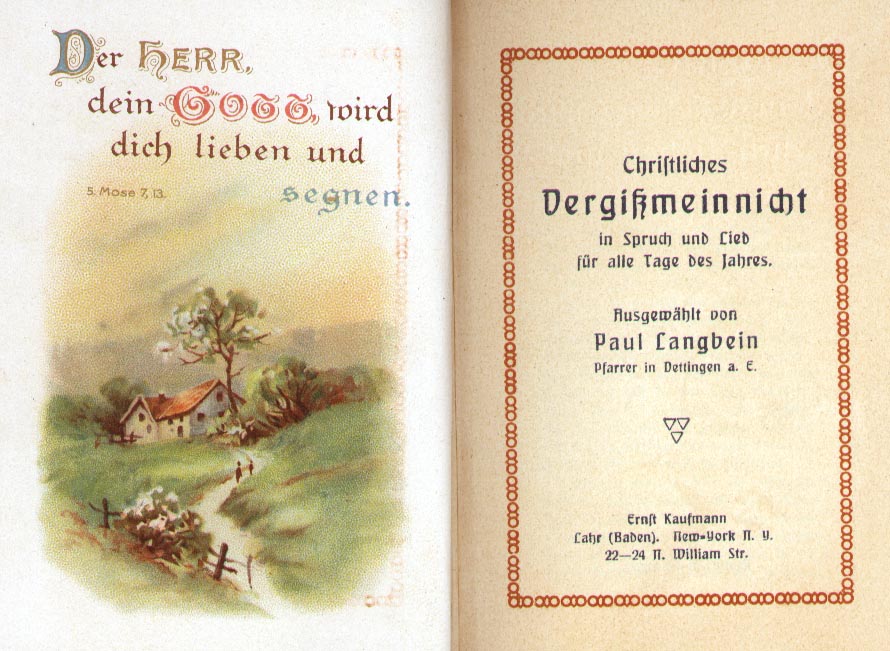 Vergissmeinnicht