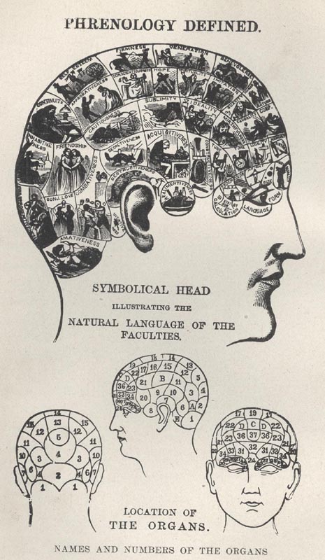 phrenology