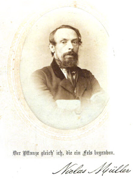 Portrait of Niclas Mueller